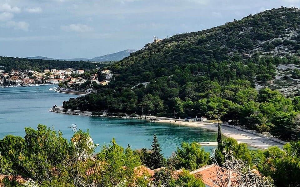 Čigrađa Beach with pine trees
