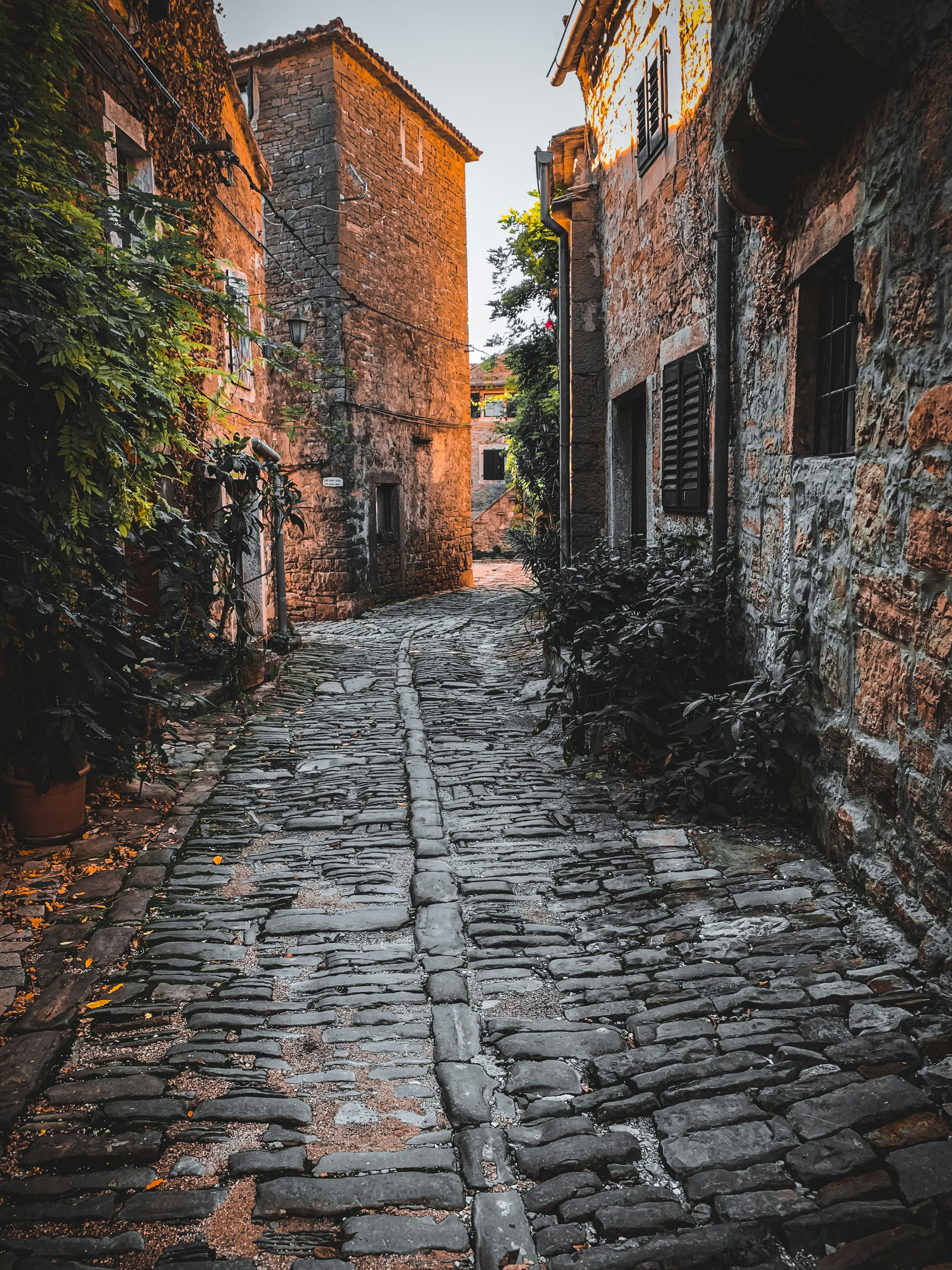A stone alley in Grožnjan with gallery signs and artists' ateliers, Istria