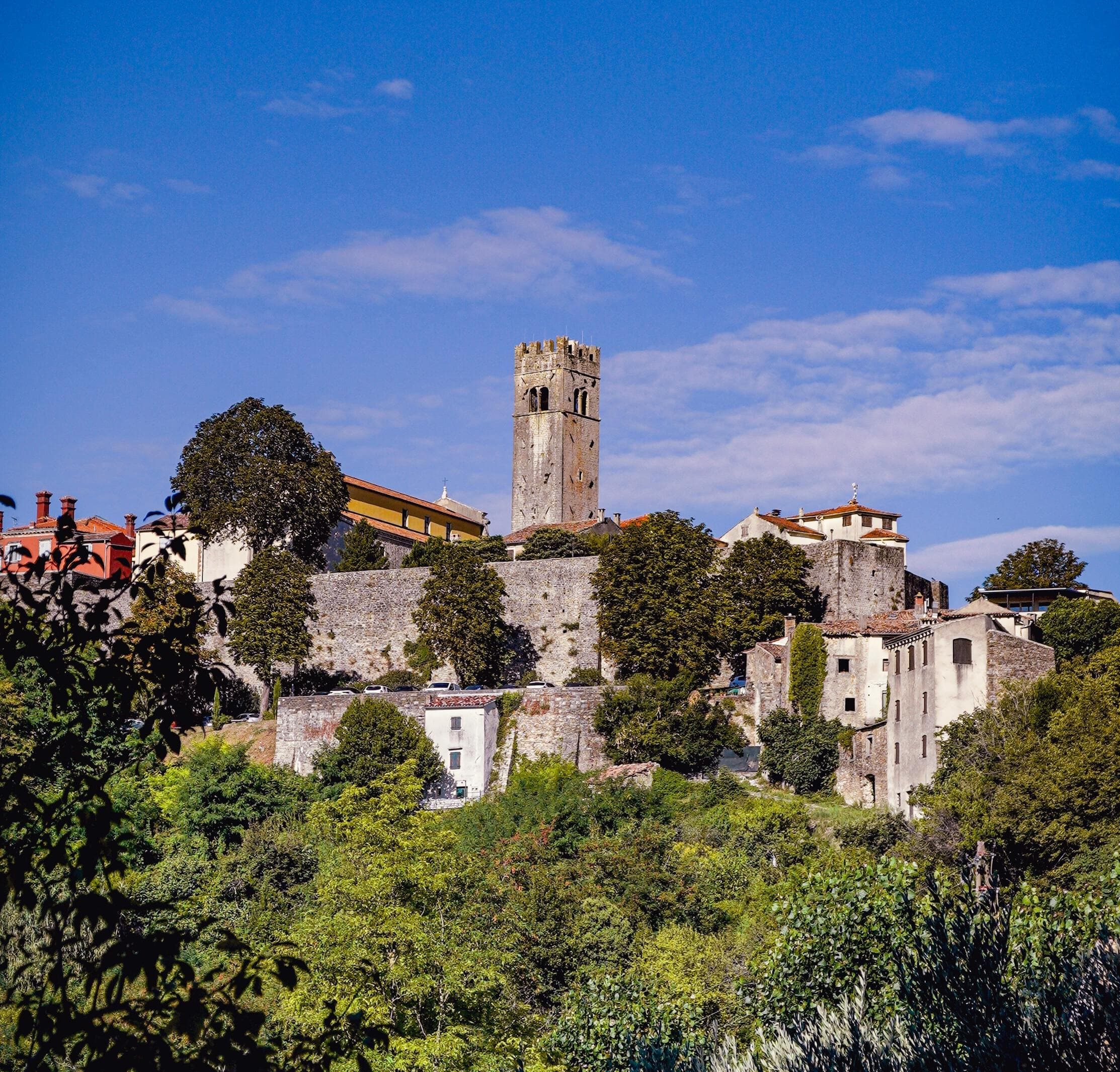 The wooded Mirna valley below Motovun in Istria, home to the oak forests where white truffles are found