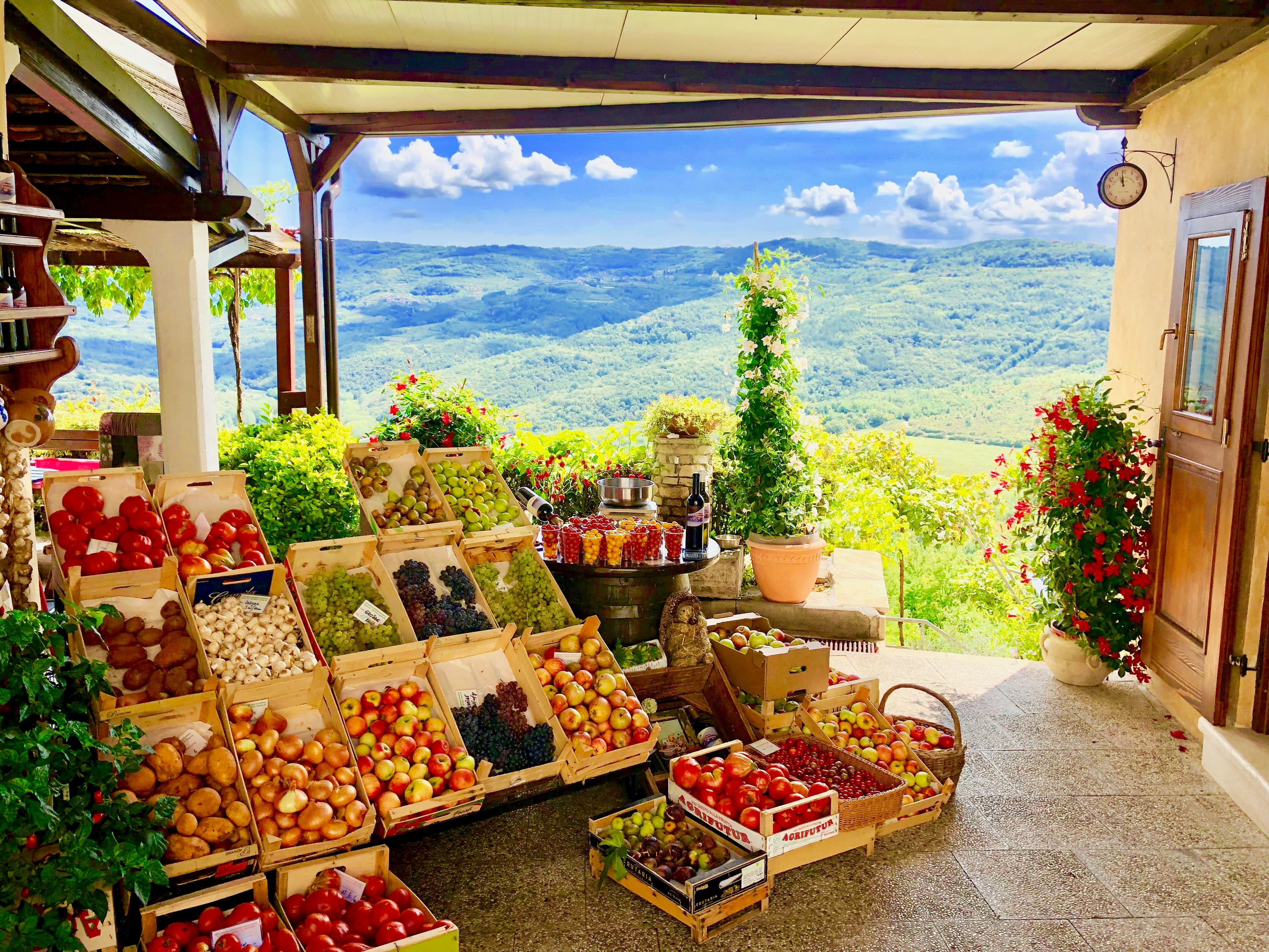Panoramic view from Motovun's medieval town walls across the Mirna valley and oak forests of central Istria