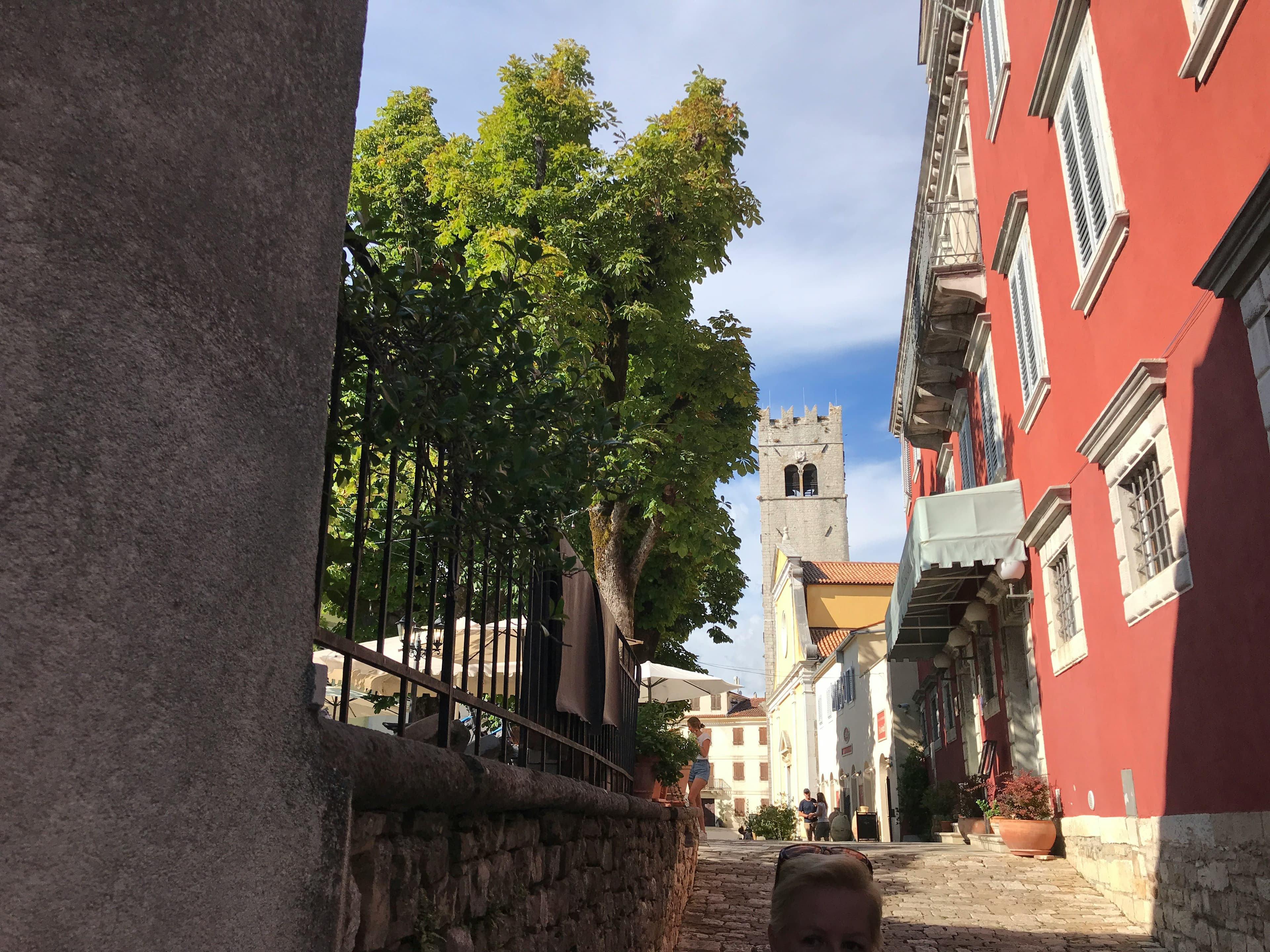 Stone village of Motovun with terracotta rooftops and bell tower seen from the surrounding vineyards
