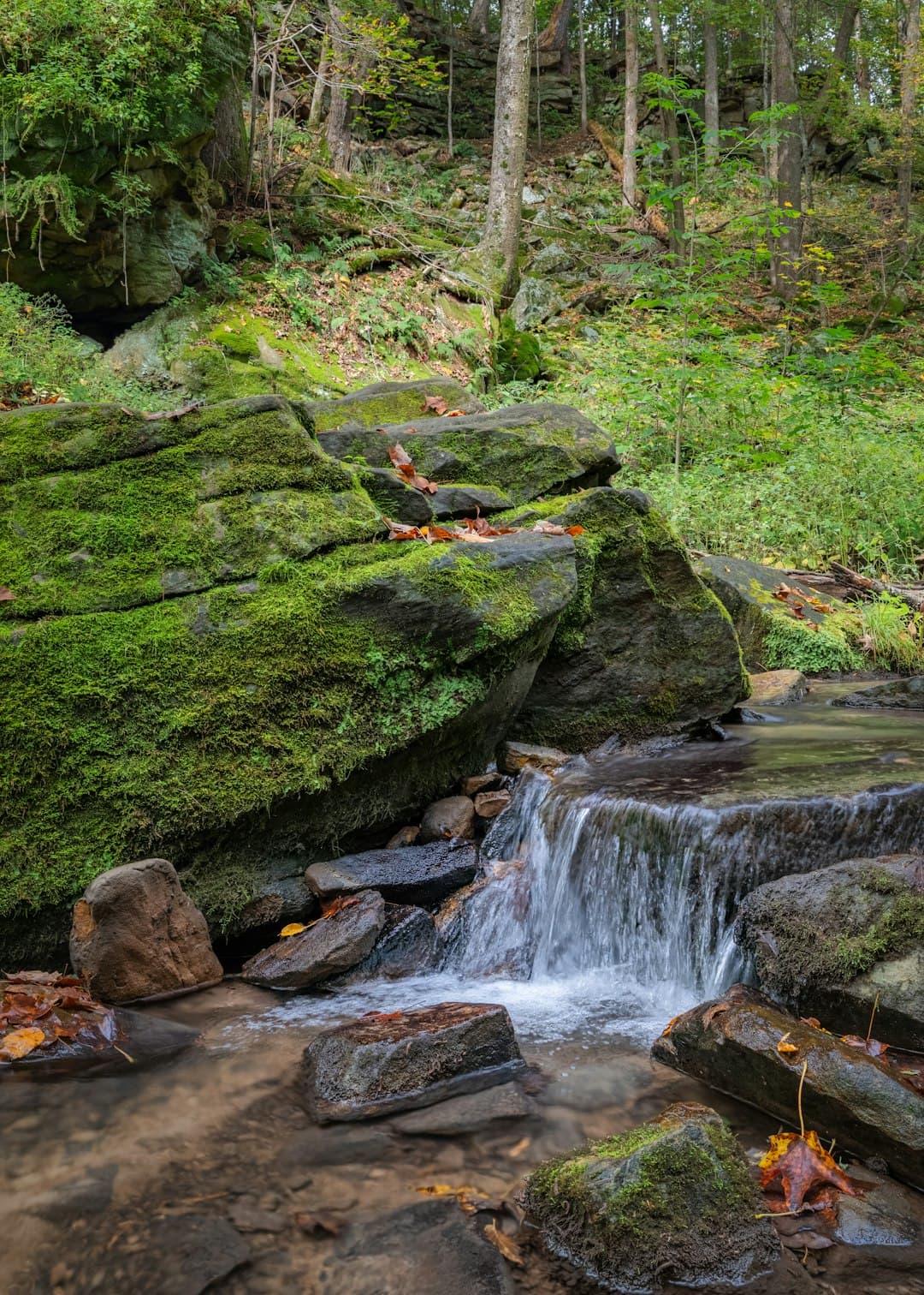 Rupnica volcanic rock formations in Papuk Nature Park