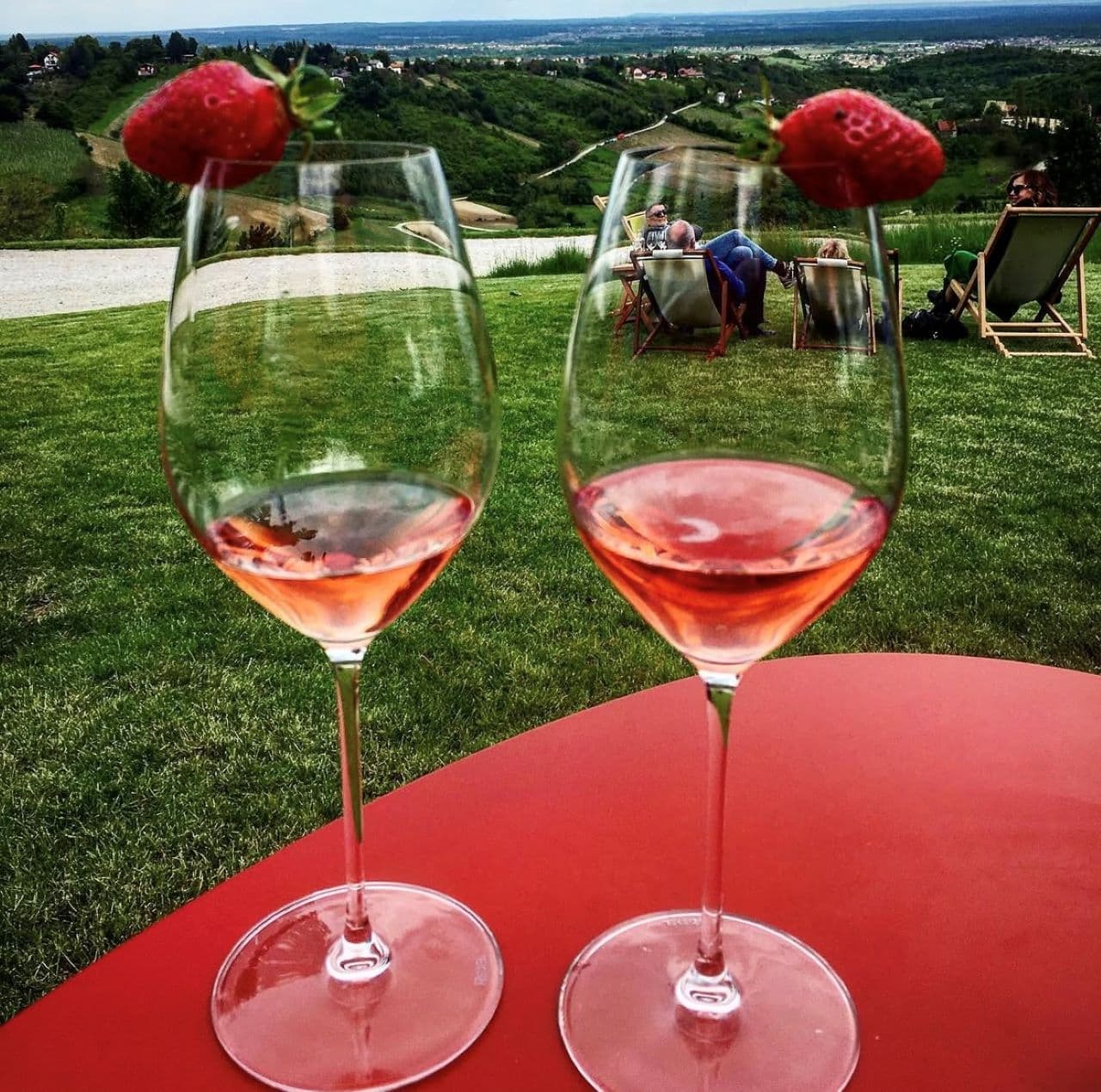 Relaxing wine tasting experience in Plešivica wine region