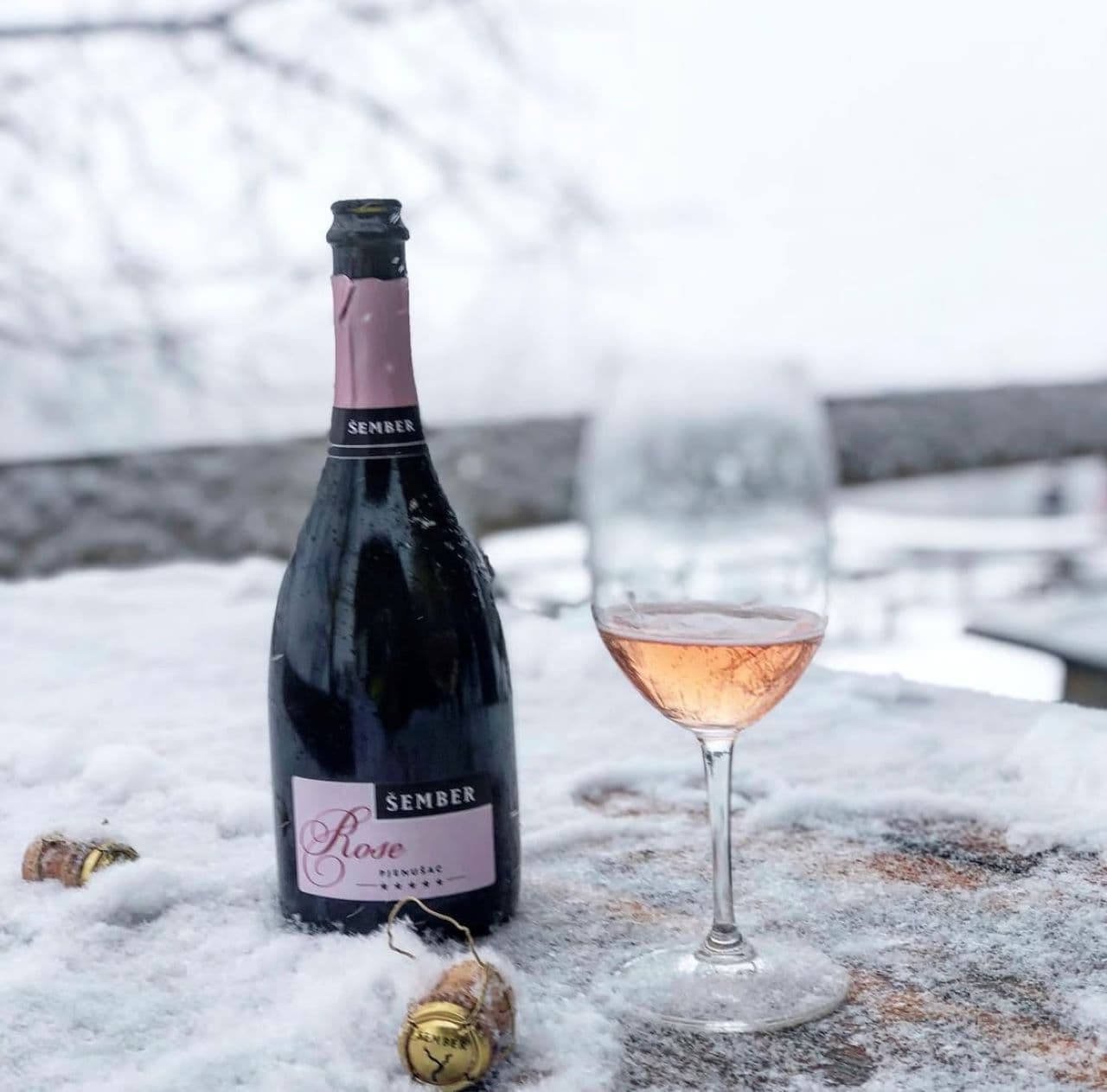 Sparkling wine production in Plešivica using traditional method