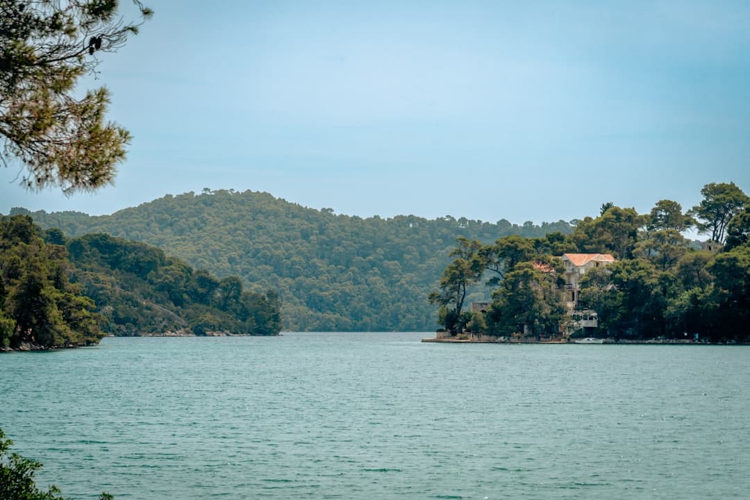 Veliko Jezero, the larger of Mljet's two saltwater lakes, surrounded by pine forest in the heart of Mljet National Park.