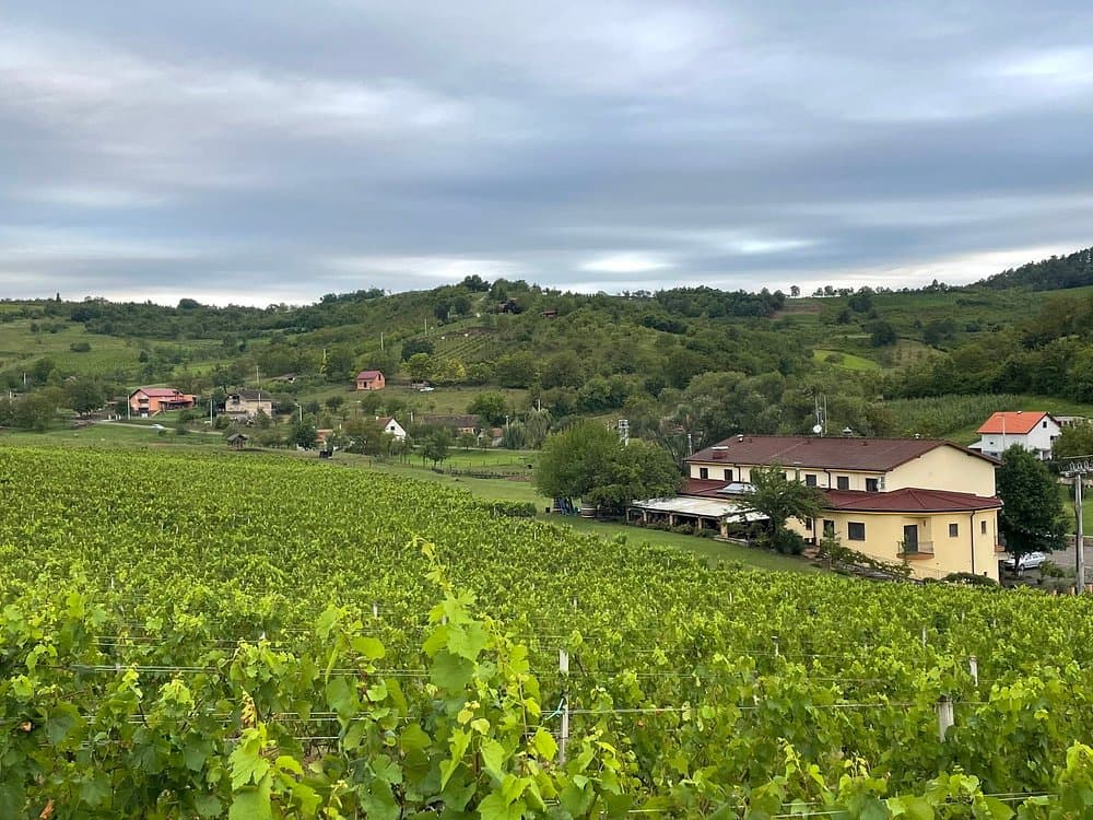 Vineyards and countryside in the wider Slavonski Brod region