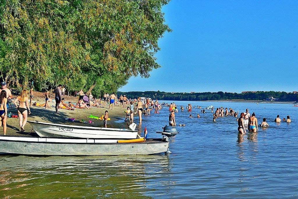 Danube riverbank near Vukovar in Slavonia