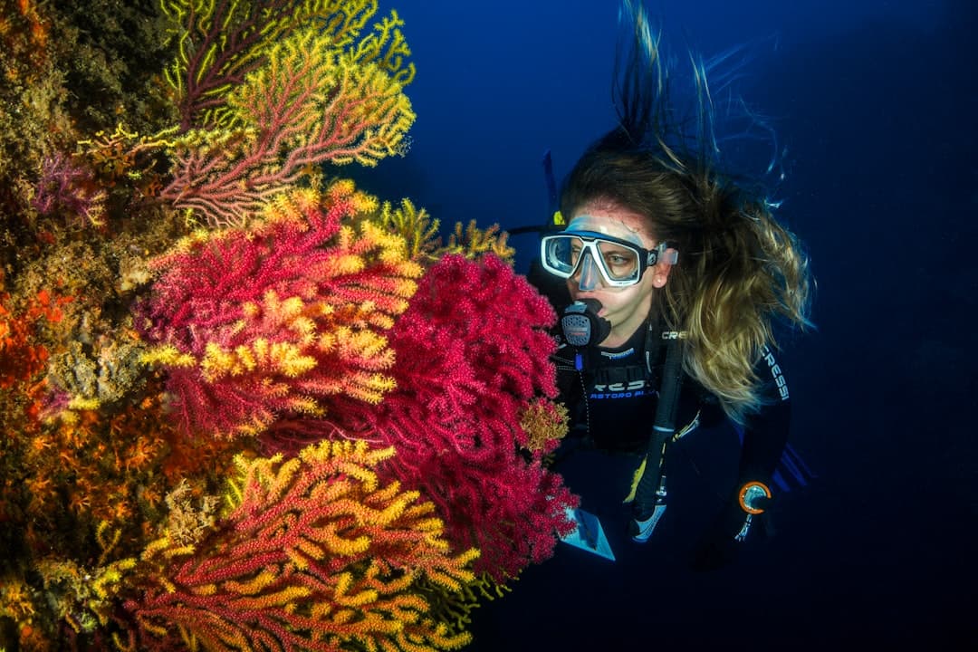Ein Sporttaucher neben einer leuchtend rot-gelben Gorgonienwand im tiefen Blau des Mittelmeers.