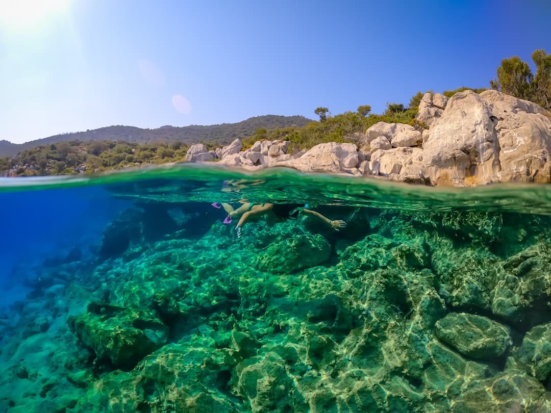 Eine klare Bucht an der kroatischen Küste, in der der felsige Meeresgrund durch die Wasseroberfläche hindurchschimmert — typisch für die flache Karsttopografie der Adria-Tauchplätze.