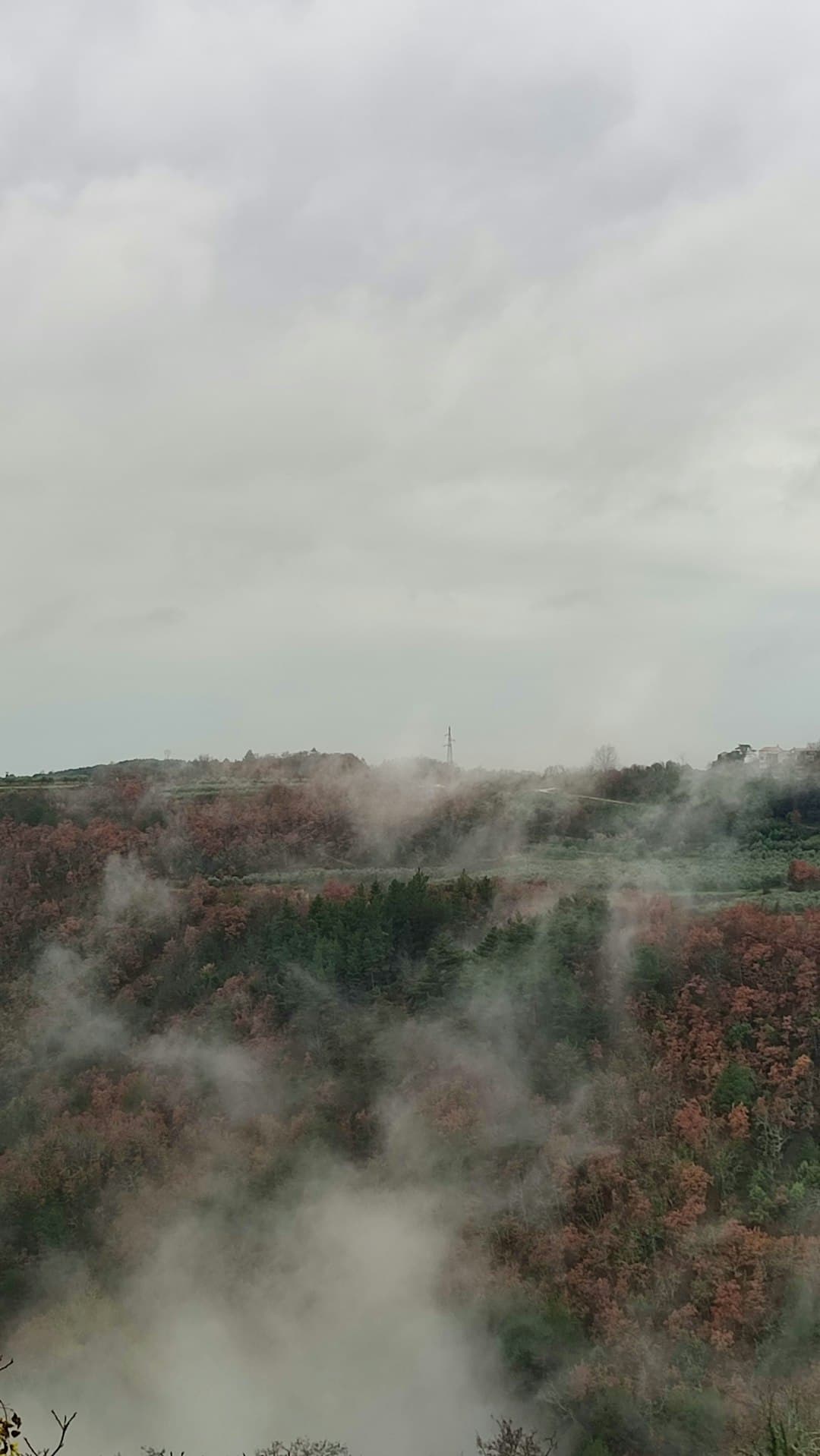 Foschia tra querce dai colori autunnali sull'altopiano carsico fra Hum e Roč — il paesaggio che incornicia l'Allea del Glagolitico.