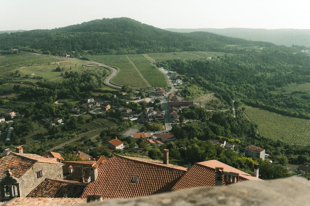 Panorama dalle mura di Motovun sulla valle del Mirna, con vigneti e foresta che si stendono fino al borgo collinare successivo.