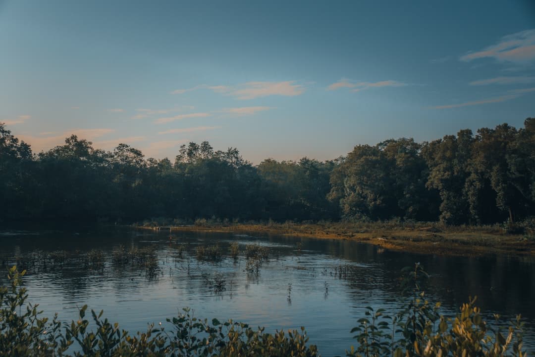 A slow river bordered by wooded banks at dusk, evoking the Sava floodplain that shapes Lonjsko Polje.