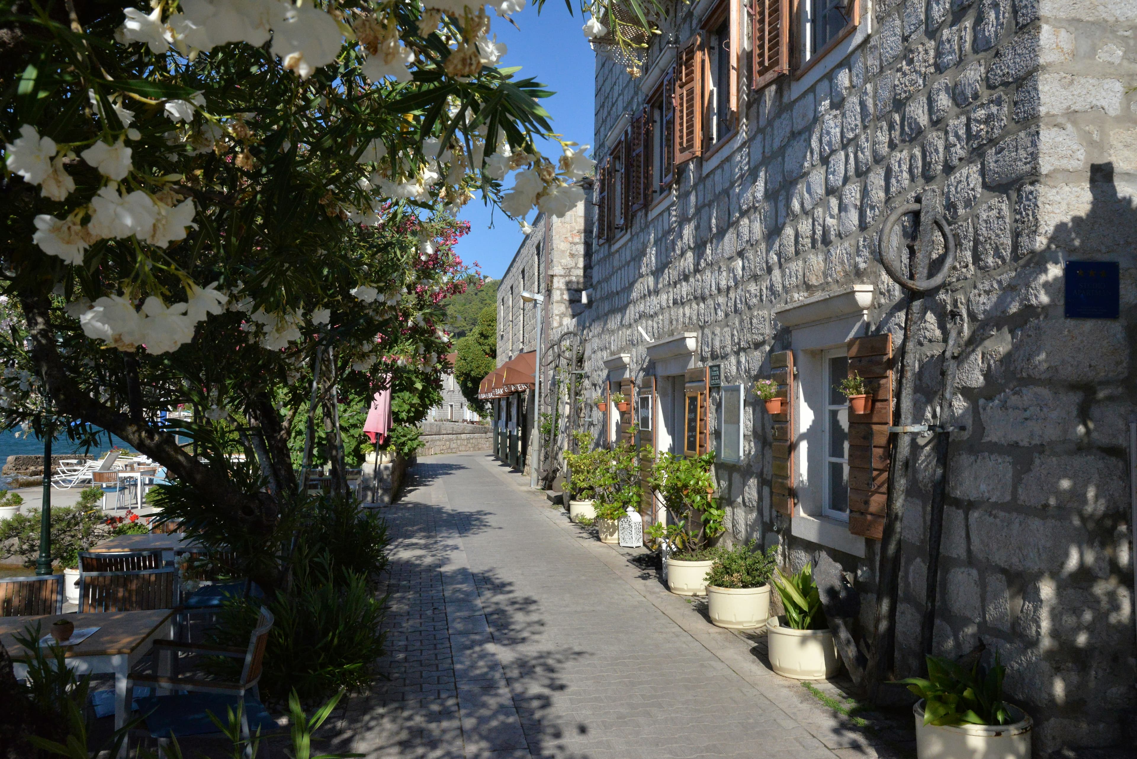 Lopud village harbor with stone houses and palm-lined waterfront promenade