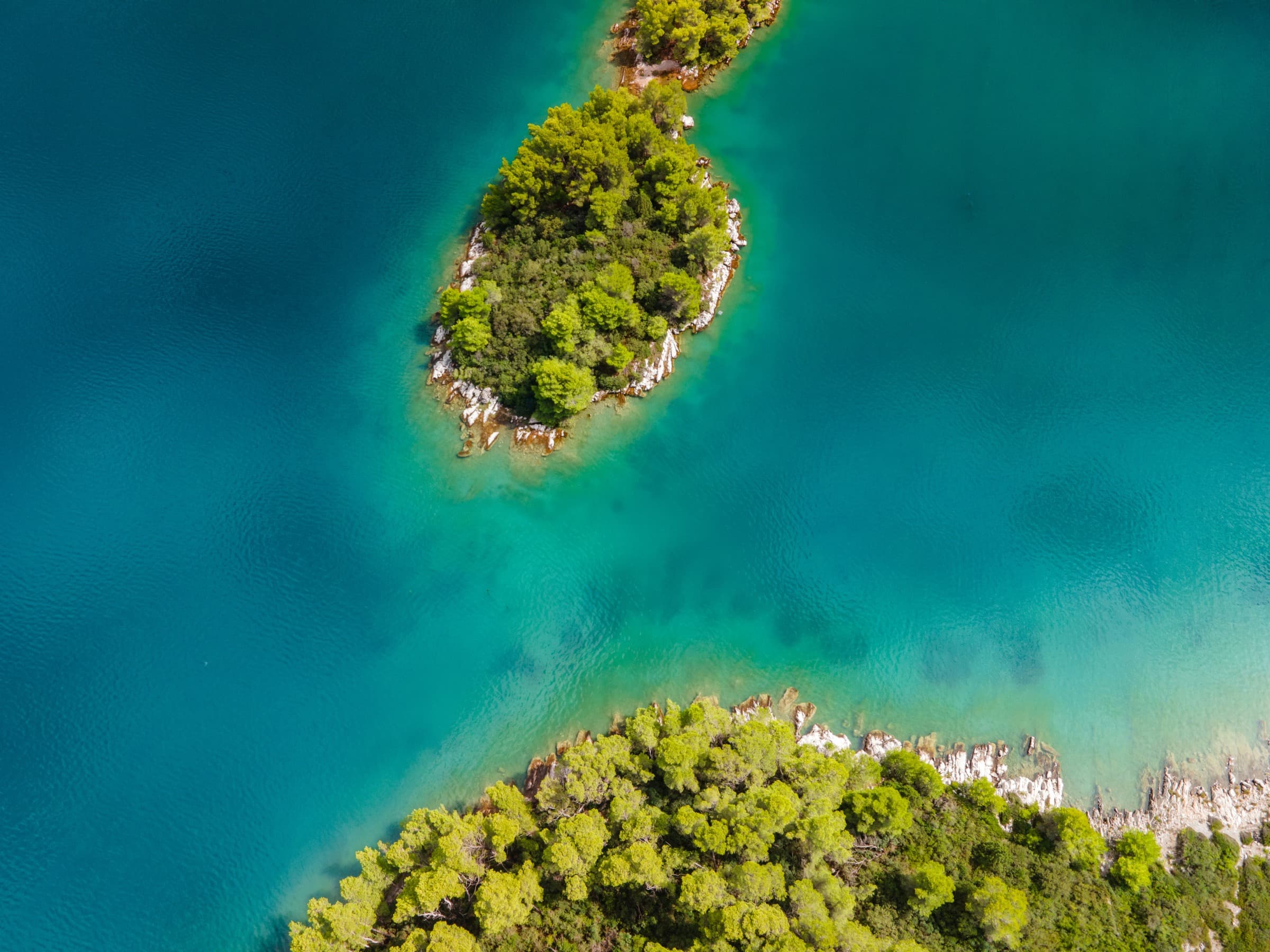 Veduta aerea di due piccole isole boscose nelle acque turchesi dell'Adriatico croato.