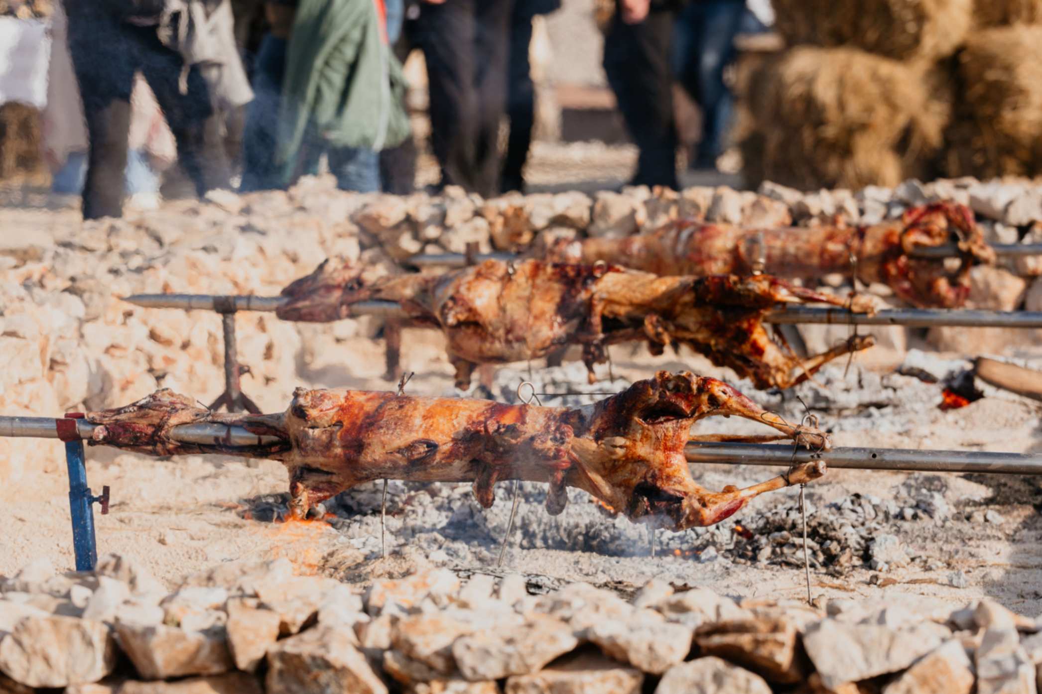 Pag lamb — one of Croatia's most celebrated island dishes, roasted over an open fire