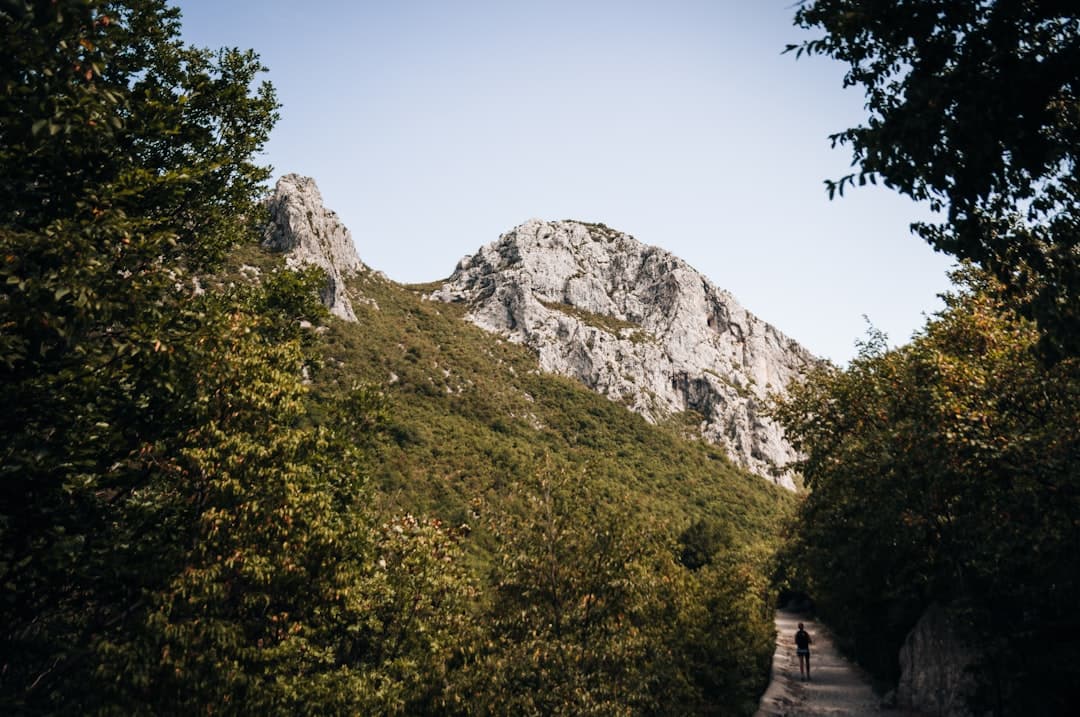 A walker on the wooded approach path to Paklenica with the limestone wall of the Velebit rising ahead.