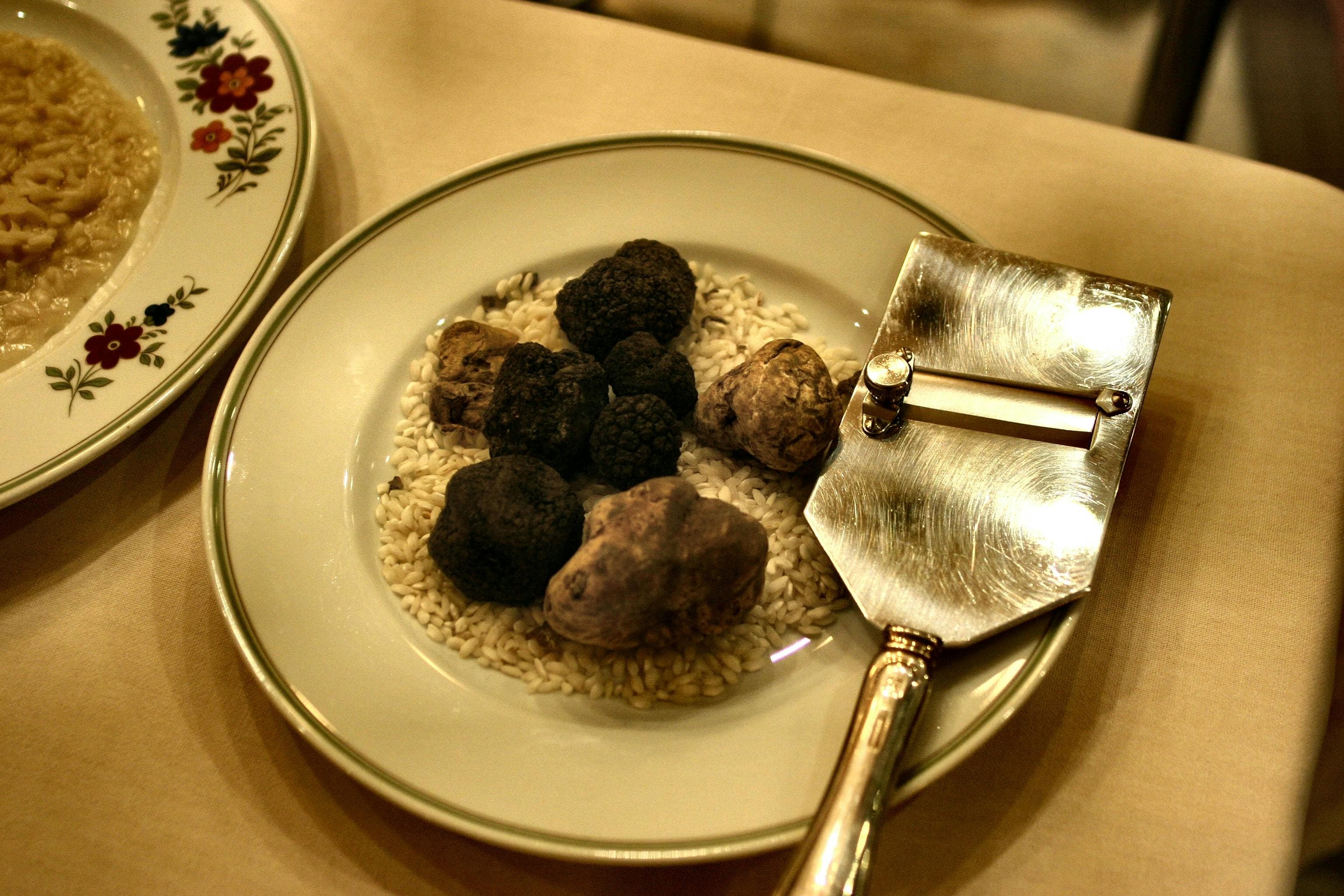 Istrian truffles — white and black truffles from the Motovun forest