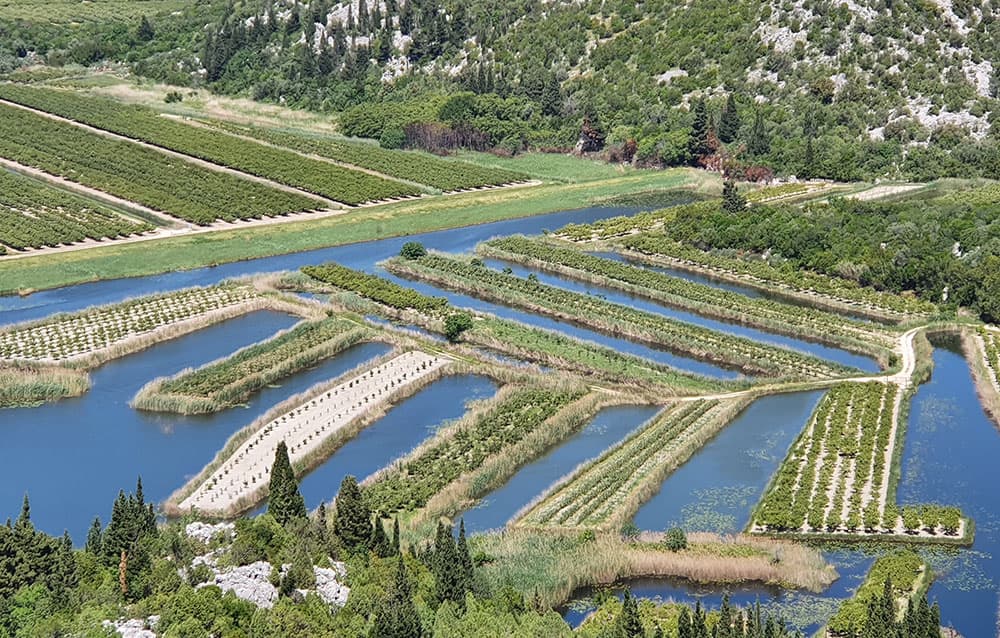 Neretva Delta near Metković — eels, mandarins and river fish from Croatia's inland delta