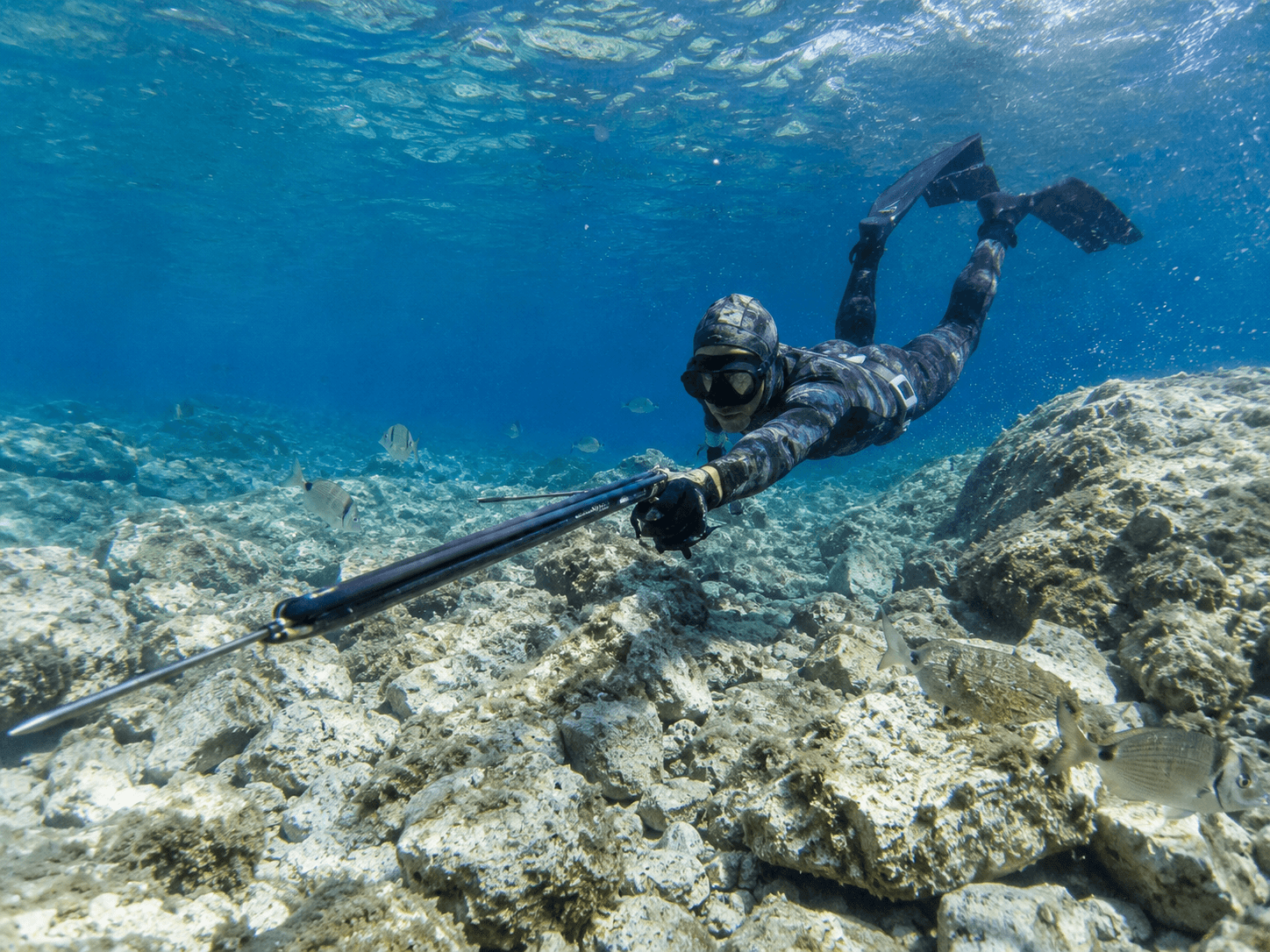 Freediver spearfishing in clear Adriatic water over a rocky limestone seabed